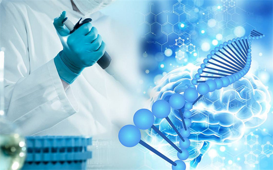 卵巢功能差必看！供卵試管成功率的核心影響因素排序